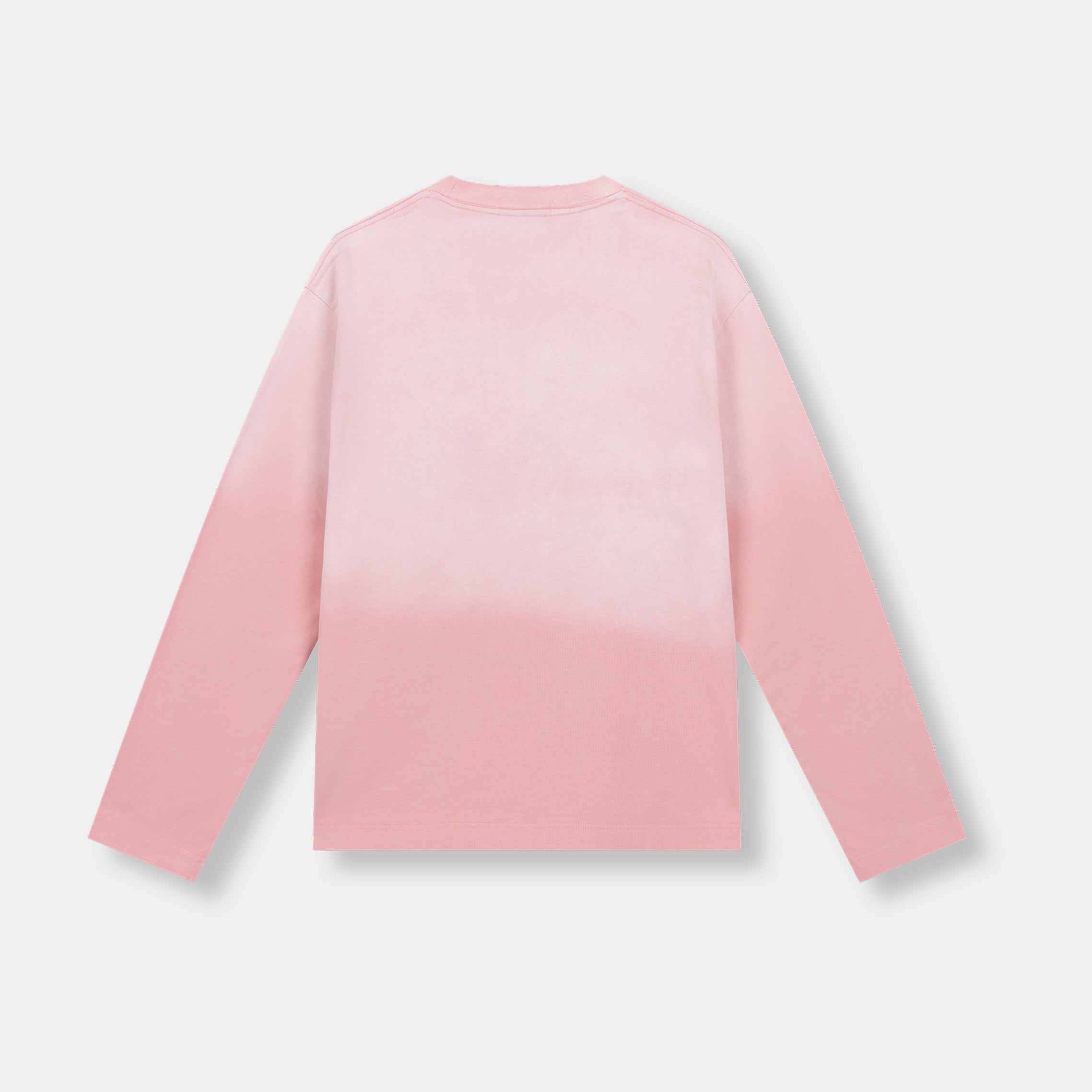 DAWN WASHED STATEMENT LONGSLEEVE TEE